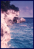 _nature1.gif (18425 bytes)