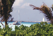 nature4.gif (17855 bytes)